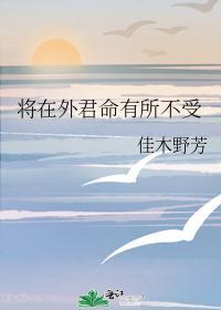 爱上翻译白小姐免费观看