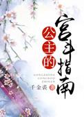 公主宫斗