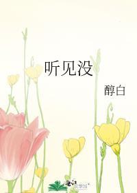 听见没百度TXT