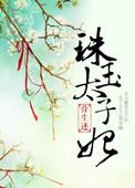 太子妃玉瑶是什么电视剧