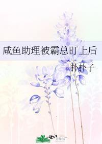 这个杀手不太冷综英美全文免费阅读