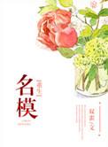 重生第一名模