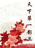 天下第一影卫晋江