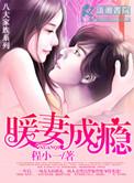 陆少的暖婚新妻