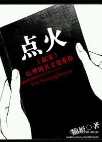 点火叔宠txt资源链接