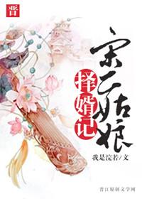 宋二姑娘择婿记好看吗