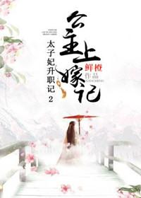 太子妃升职记2公主上嫁记讲的什么