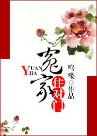 冤家住对门免费观看完整版
