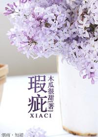 瑕疵免费