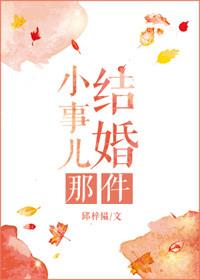 结婚那件小事儿讲的什么
