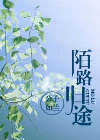 陌路归途陆景深
