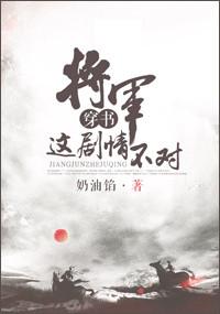 将军不好混 完整版