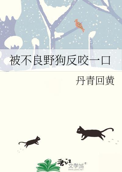 被野狗咬了怎么办