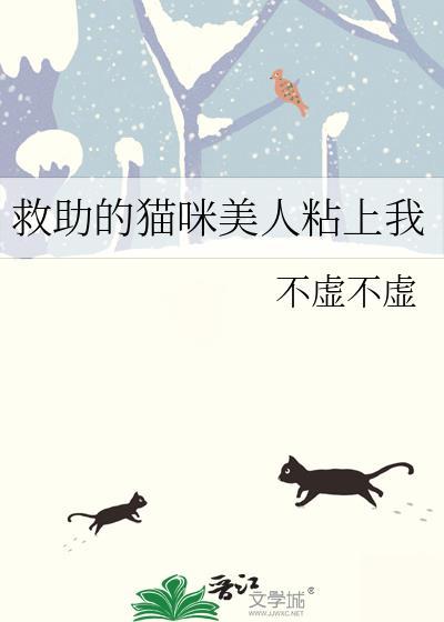 猫咪救小猫