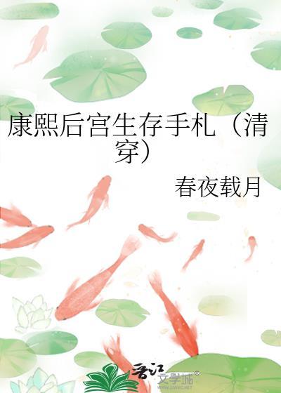 清穿康熙后期嫔妃