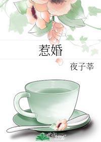 惹婚txt