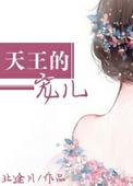 天王壂免费阅读
