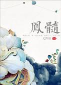 凤髓骨鉴红心李子