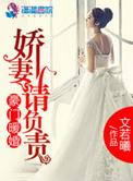 豪门暖婚小娇妻太美味