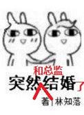 突然和总监结婚了 作者林知落 番外