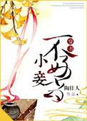 穿越小妾不好惹