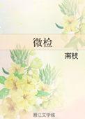 微检南枝番外