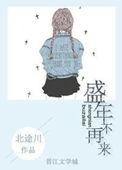 盛年不再来好看吗