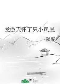 龙傲天怀了只小凤凰全文免费阅读