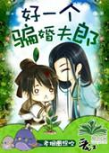 好一个骗婚夫郎类似文