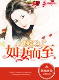 婚如暖阳免费全文阅读