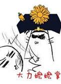 大力嬷嬷掌云盘