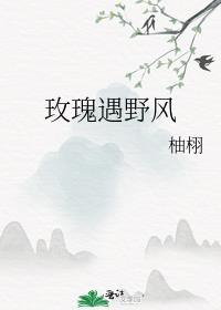 玫瑰遇野风番外txt