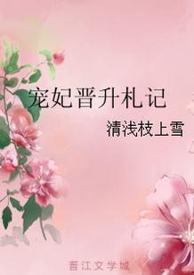 宠妃晋升手册