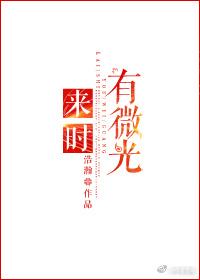 来时有微光简介