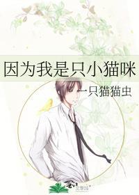 我是一只小猫咪是什么歌