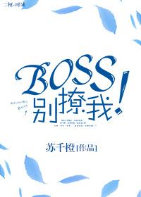 boss别闹免费阅读沫果