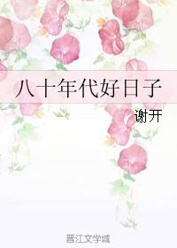 八十年代小日子