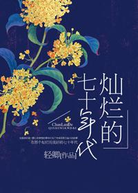 灿烂七十年代免费阅读