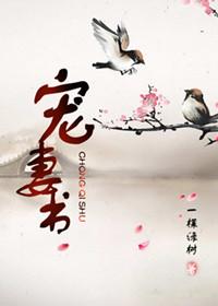 宠妻书生动漫