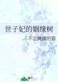 世子妃讲的什么