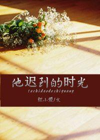 她迟到的时光