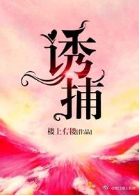 诱捕猫 trap the cat游戏