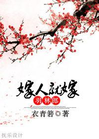嫁人就嫁羽林郎盘未删减版