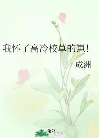 我怀了高冷校草的崽by