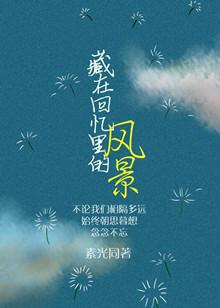 藏在回忆里的风景实体番外