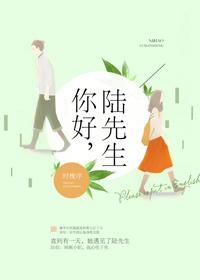 你好陆先生娱乐圈全文番外