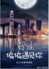 而我却偏偏遇见你