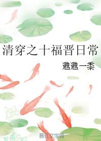 清穿之十福晋日常章节目录