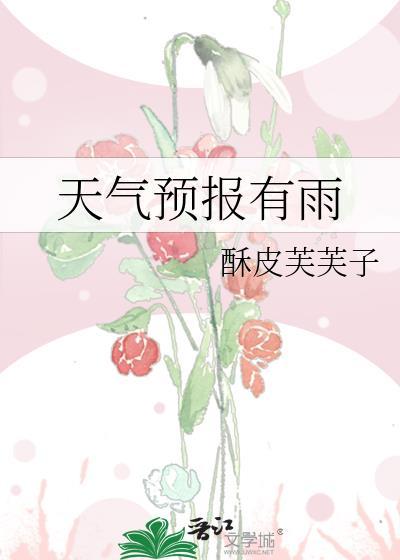 天气预报有雨by酥皮芙芙子百度