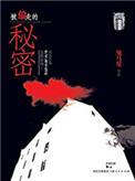 被偷走的秘密游戏攻略